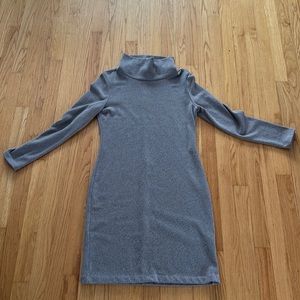 Cozy cute mock turtleneck dress